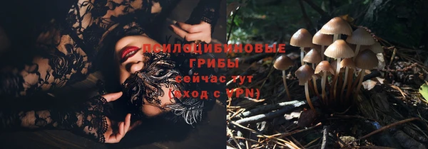 мдпв Михайловск