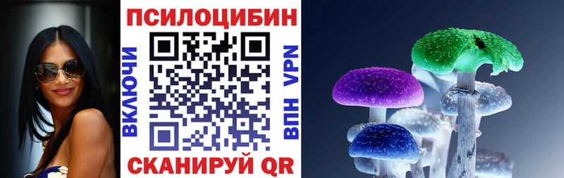 Купить закладки  Палласовка  Псилоцибиновые грибы Magic Shrooms 